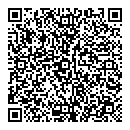 QR код "Ромашка"