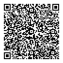 QR код "Ромашка"