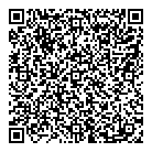QR код "Art Vinyl"