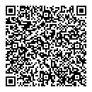 QR код "ЛидиАрт"