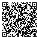 QR код "Луч"