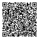 QR код "Silver & Silver"
