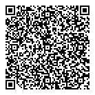 QR код "Аниса"