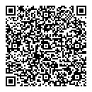 QR код "QIWI"