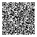 QR код "Алиса-2"