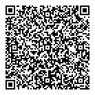 QR код "ДОМИНО"