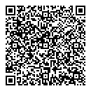 QR код "Блик"