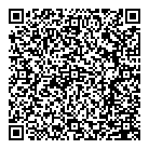 QR код "Профессионал"