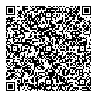 QR код "Биплан"