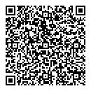 QR код "Mona Lisa"