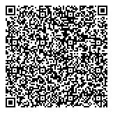 QR код "Молния-сервис"