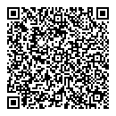 QR код "Молния"