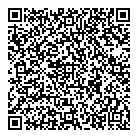 QR код "Паутинка"