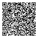 QR код "DFT Art Брянск"
