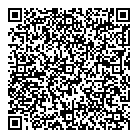 QR код "Laser System Drive"