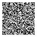QR код "Сова"