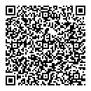 QR код "Ёшкин кот"