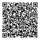 QR код "Молния"