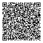 QR код "Звездочка"