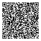 QR код "Ализе"