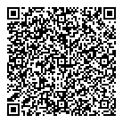 QR код "Аэлита"