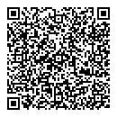 QR код "Венеция"