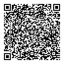 QR код "DNS"