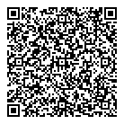 QR код "Большой брат"