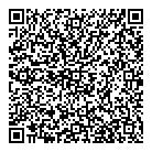 QR код "Спутник"