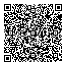 QR код "Chrome Decor"