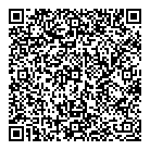 QR код "Гейзер"