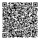 QR код "Барс"