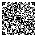 QR код "Глобус"