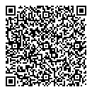QR код "Классика"