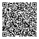 QR код "Груз 200"