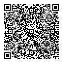 QR код "Паутинка"