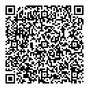 QR код "Zeppelin"
