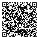 QR код "Биплан"