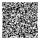 QR код "Спутник"