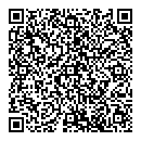 QR код "Мир"