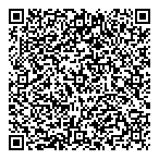 QR код "Доминго"