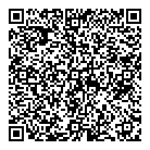 QR код ""DOMINO""