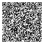QR код "Северное Сияние"