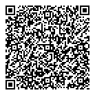 QR код "Вилли"