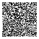 QR код "Кот-Бегемот"
