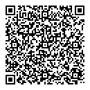 QR код "Repti1"