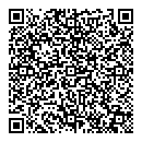 QR код "Динго"
