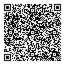 QR код "Вилли"