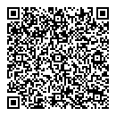 QR код "Silver Fusion"