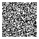 QR код "Silver lady"